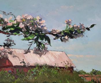 ������� ���������