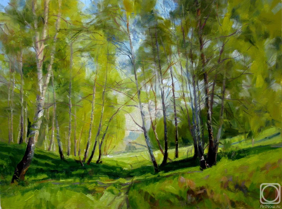 ������� ������ �� ������. ������� ��������. �������� ����������