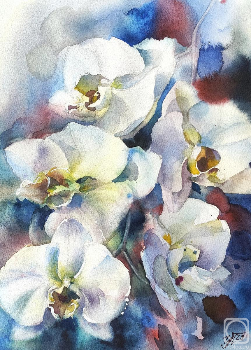 Pronina Irina. White orchid