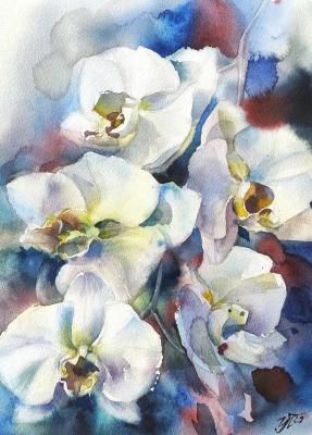 White orchid. Pronina Irina