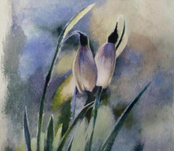 ������� ����������