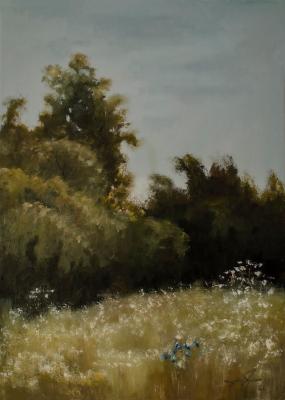 Light and shadows (Oil On Stretche Dcanvas). Dobrotvorskiy Aleksey