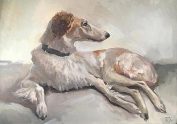Russian greyhound. Klyueva Mariya