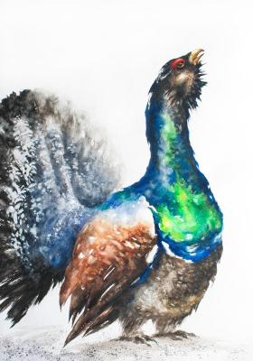Watercolor painting "Grouse".