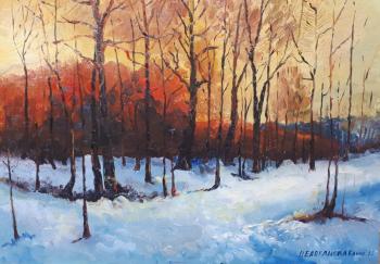 �������������� �����. ���������� �����