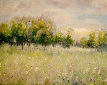 Blooming irises (Horizontal Landscape). Dobrotvorskiy Aleksey