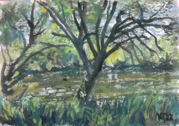 ������� ������ �������