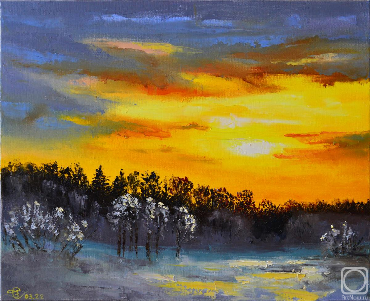 Stolyarov Vadim. Sunset on the edge of the forest