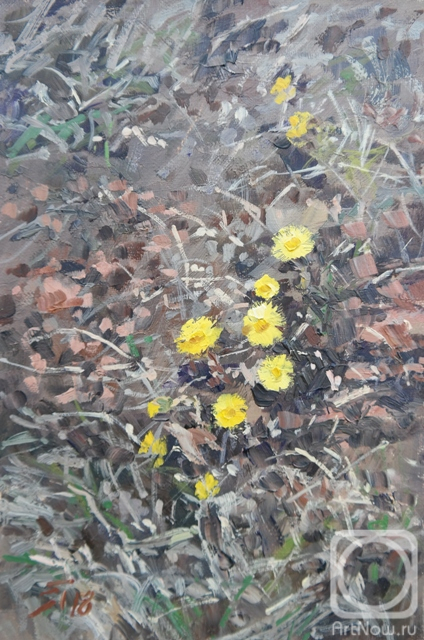 ������� ������ �� ������. ���������� ������. ������ ������� �����