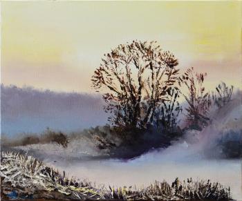 Frost at dawn (Dawn In T). Stolyarov Vadim