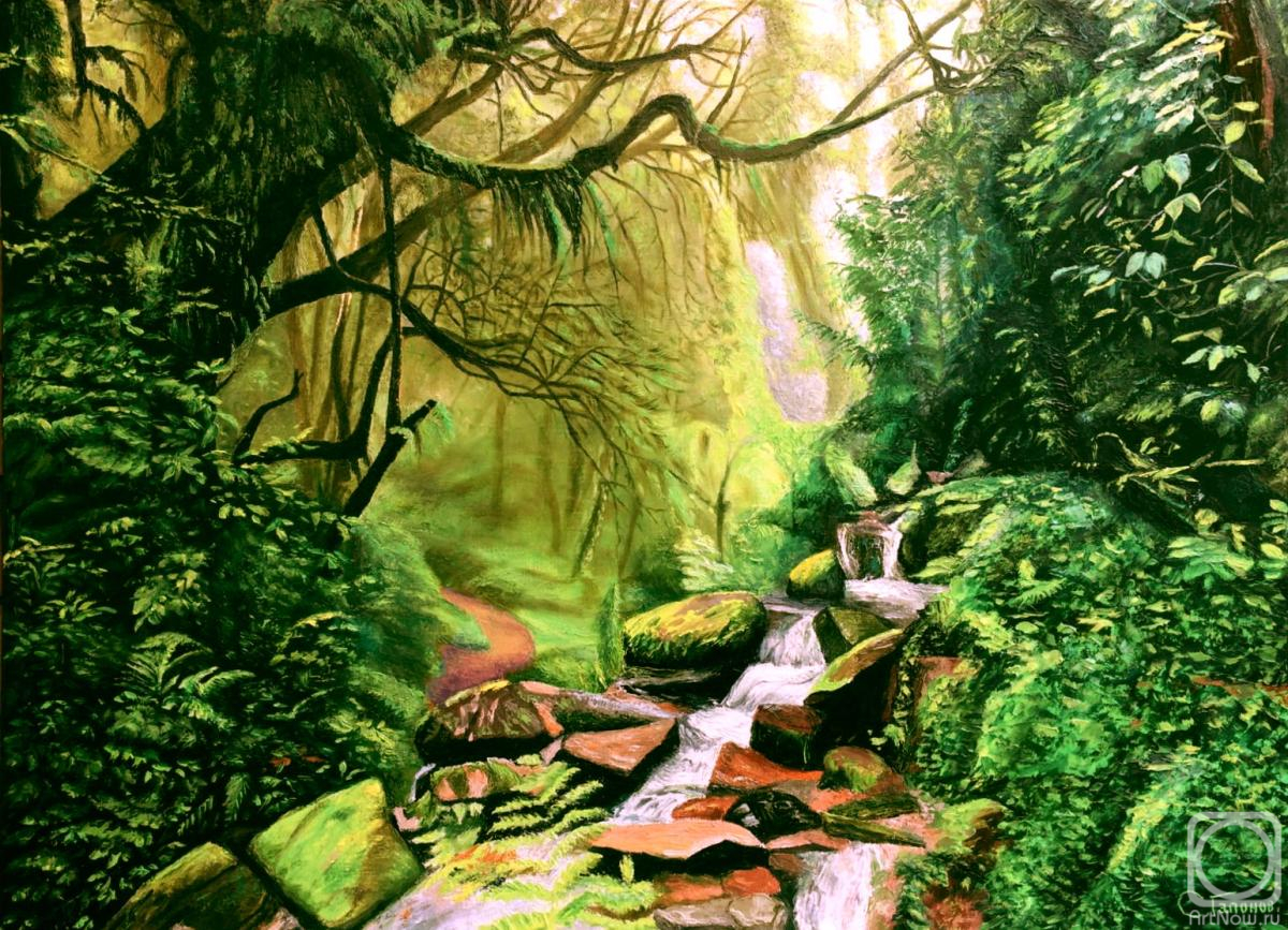 Gaponov Sergey. Forest jungle