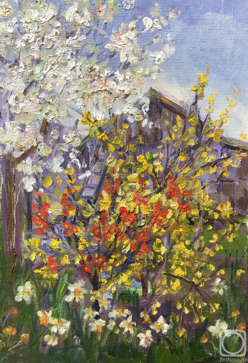 ������� ������ �� ������. ������ �����. ����� �� ����