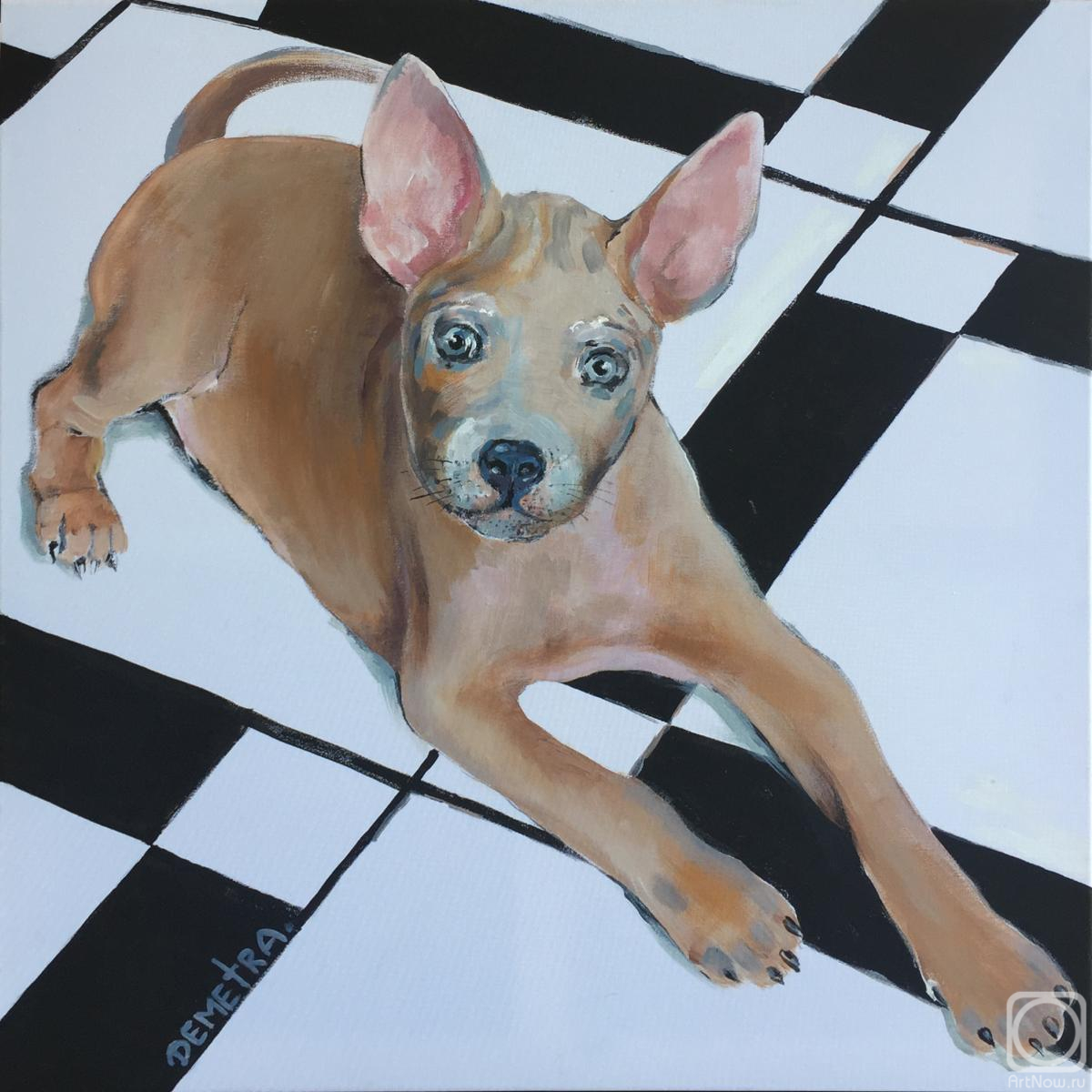 �������. �������� �������. ������