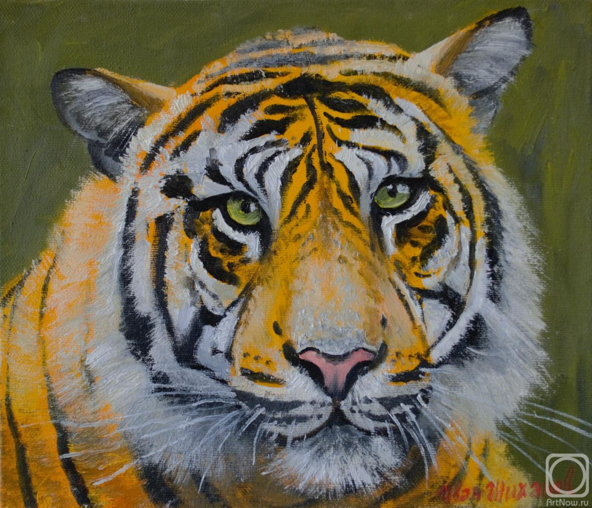 Shihanov Ivan. Portrait of the tiger
