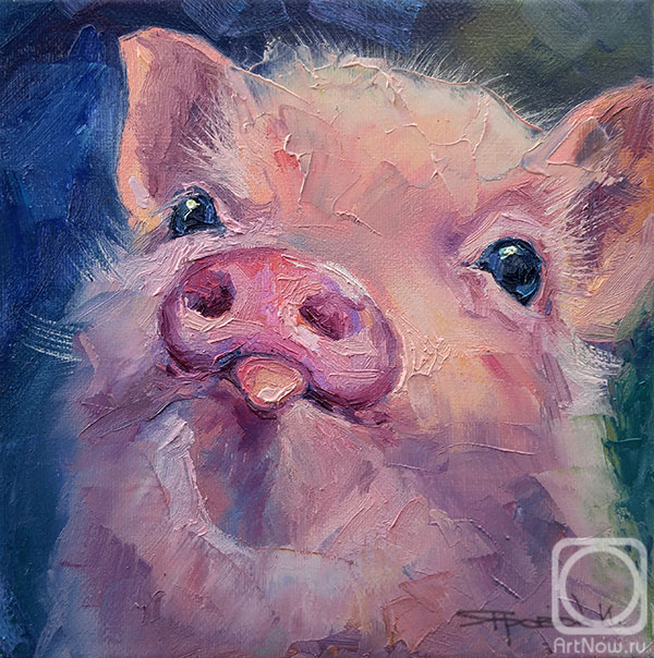 Iarovoi Igor. Piglet