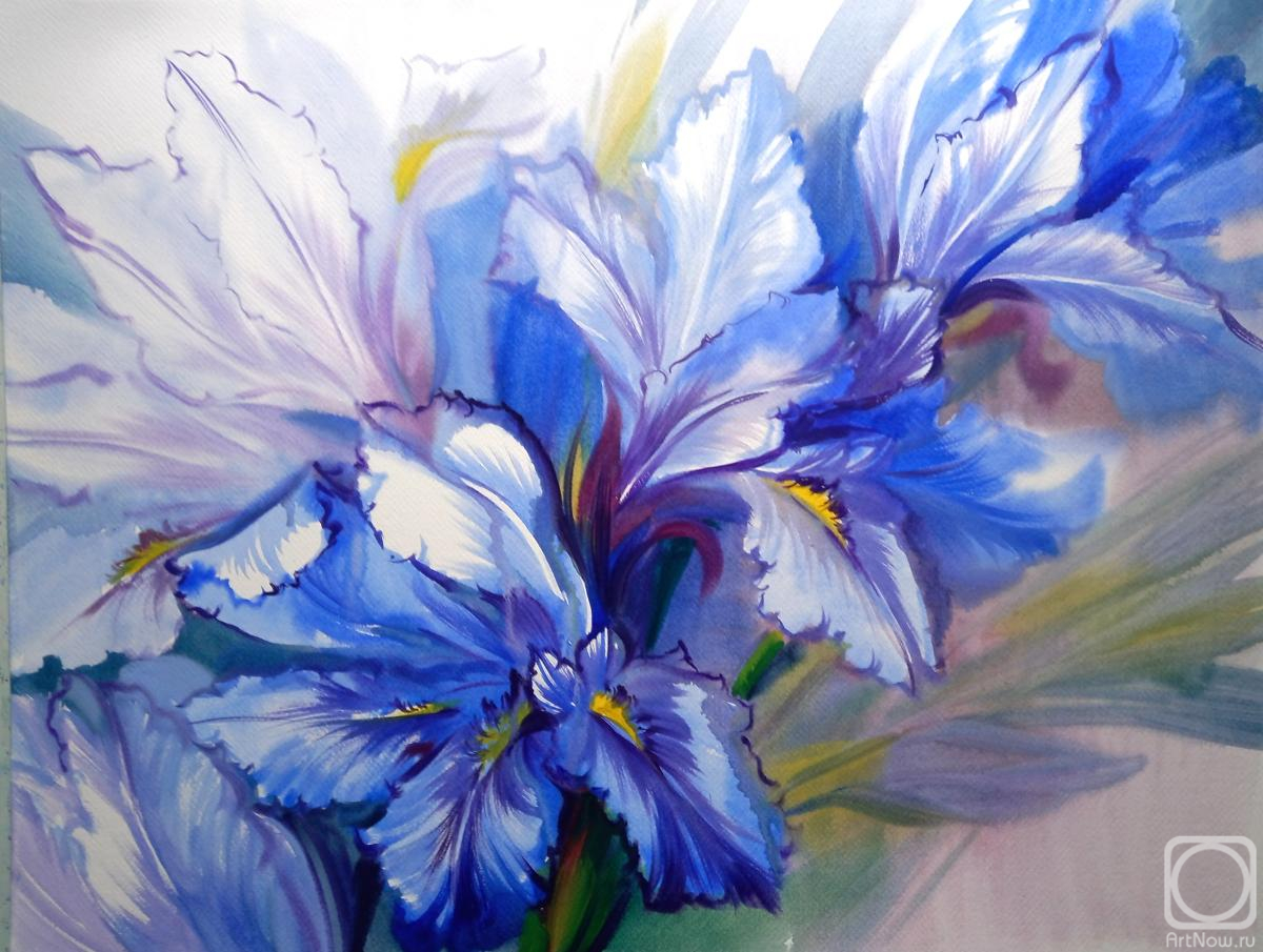 �������. ���������� ���������. ����������� ������