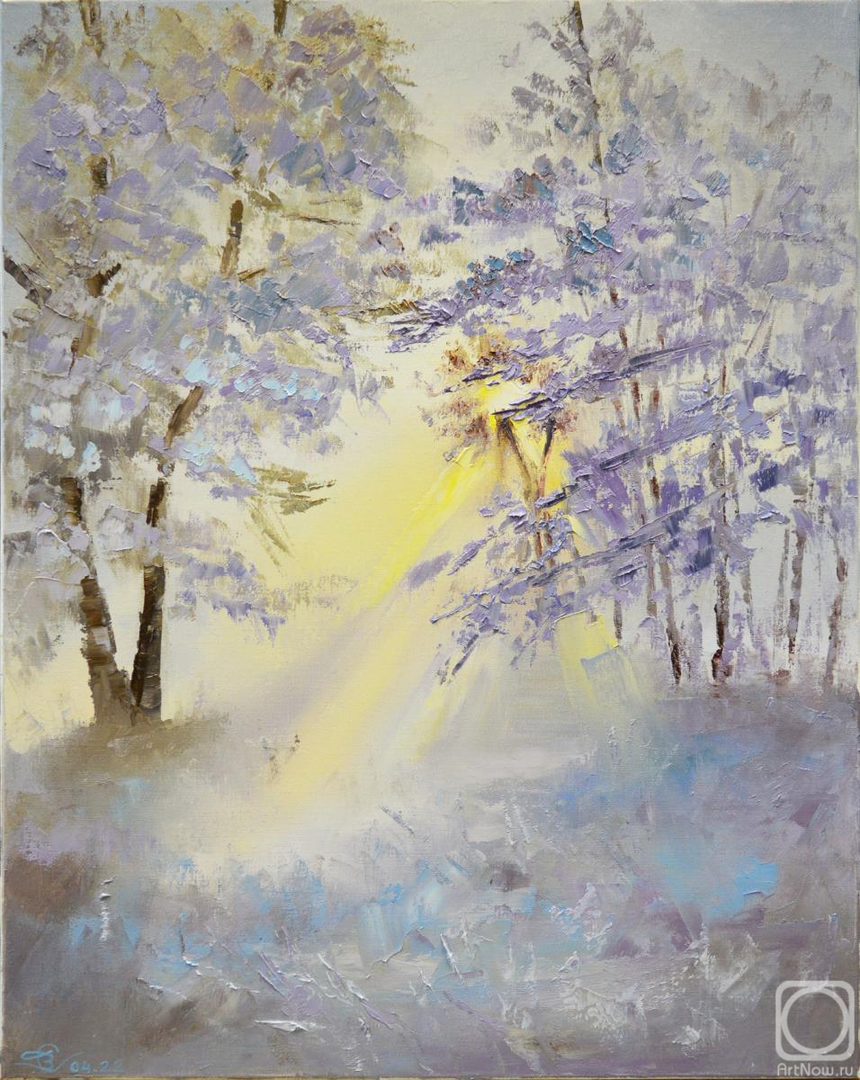 Stolyarov Vadim. The sun in the winter forest