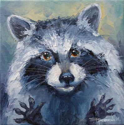 Raccoon. Iarovoi Igor