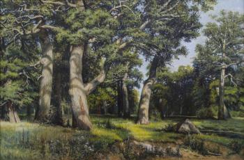 A copy of painting by I. Shishkin "Oak Grove". Aleksandrov Nikita