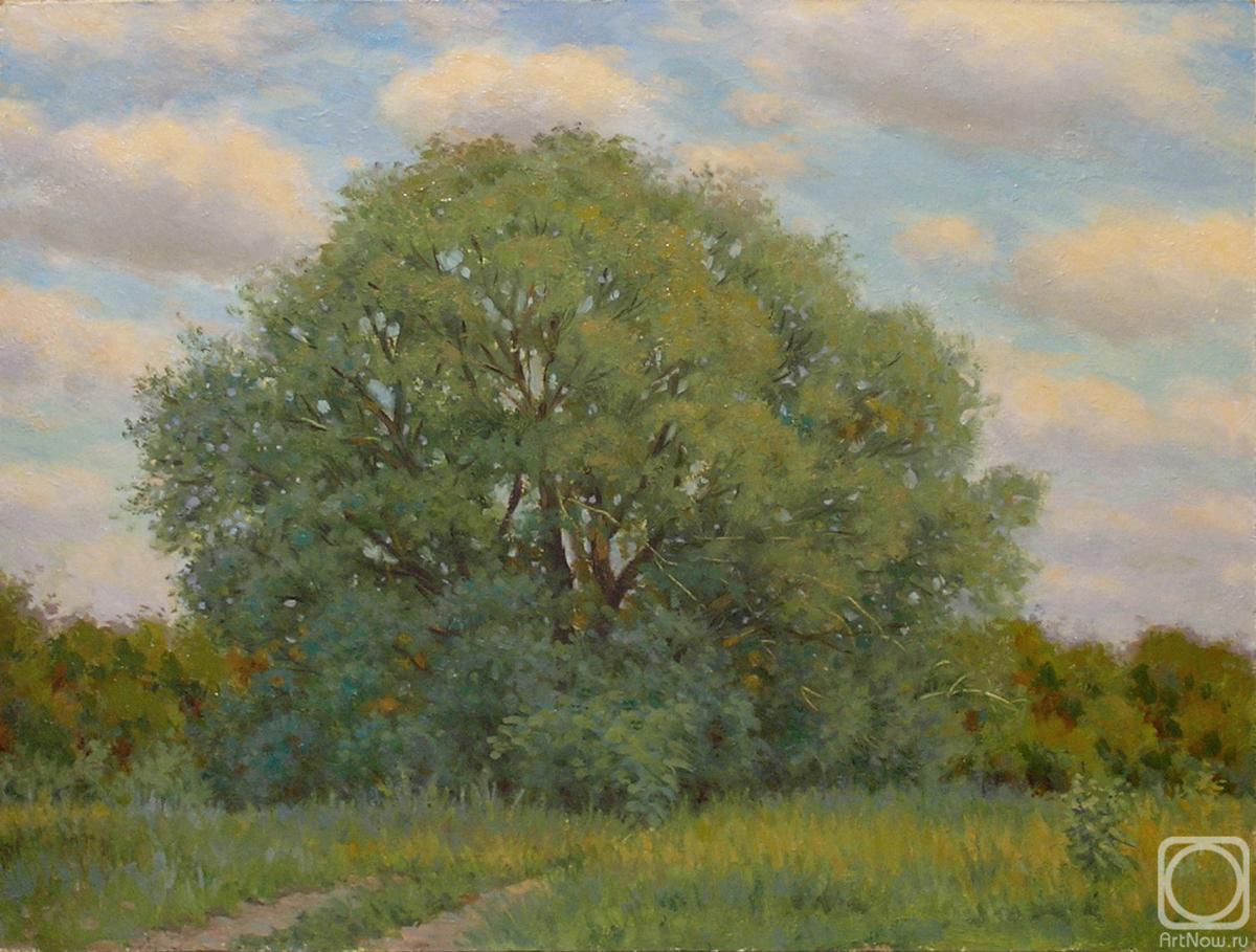 �������. �������� ������. � ������ ����� � ������ (����)