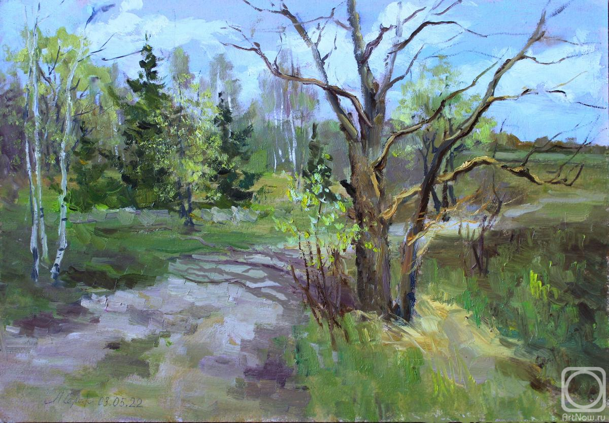 �������. �������������� ������. ������ ���