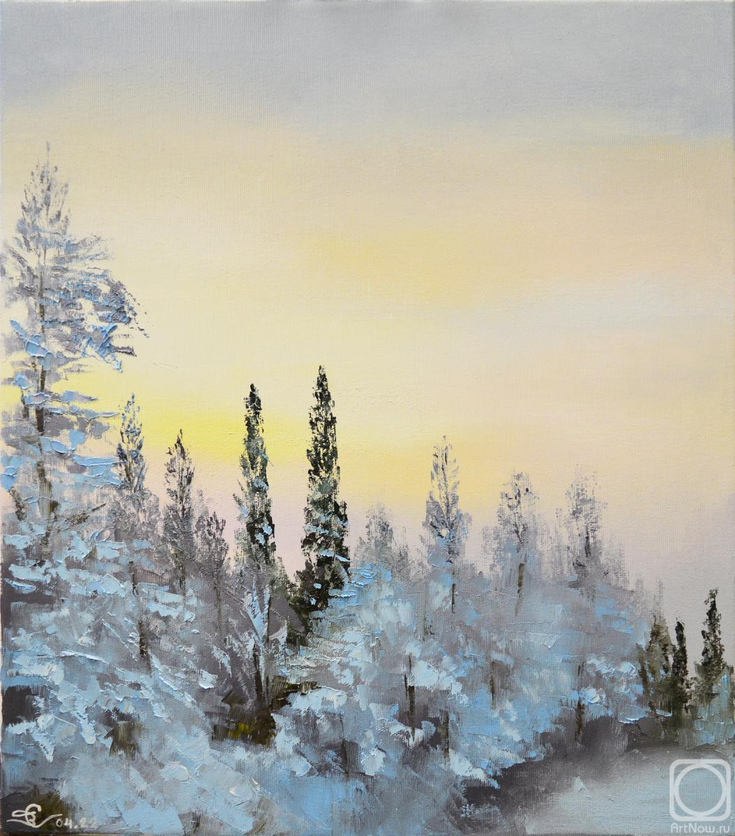 Stolyarov Vadim. Winter evening in the forest