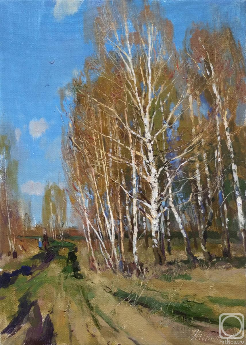 Zhilov Andrey. Spring in Tamaevka (etude)