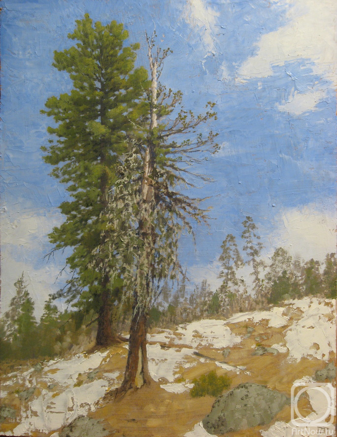 �������. ������� �������. �������� �����