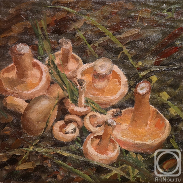 ������� ������ �� ������. ���������� ������. �������� ������