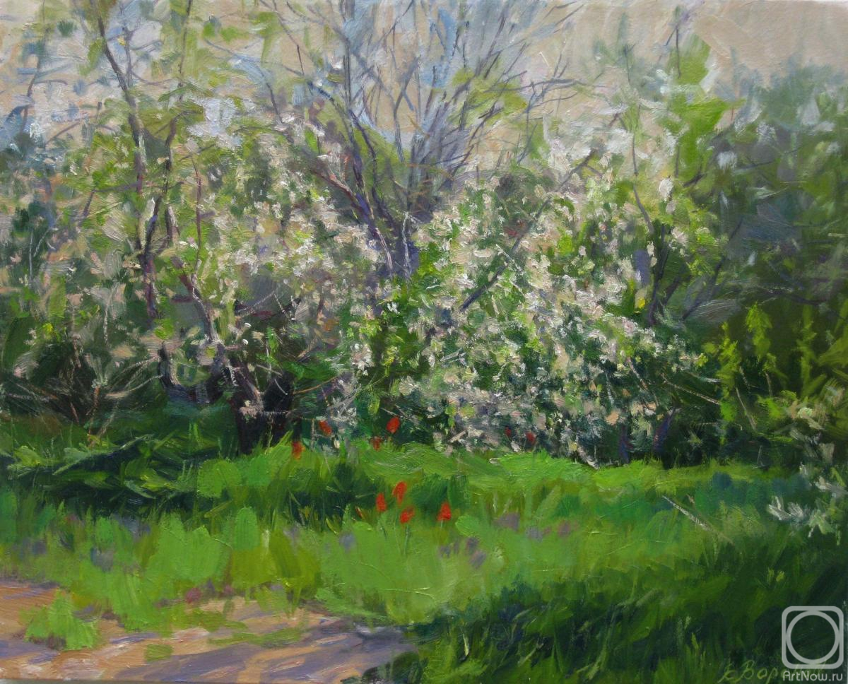 ������� ������ �� ������. ������� ��������. ������� �������