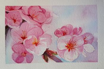 Apple tree in pink. Durandin Viktor