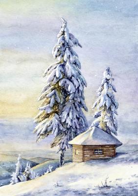 Winter pines. Shvetsov Dmitriy