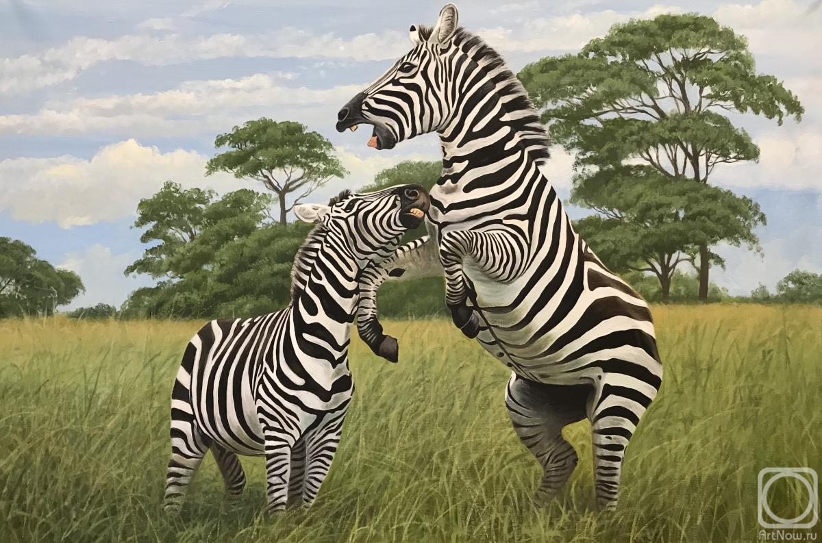 Roslik Evgeniya. Two zebras