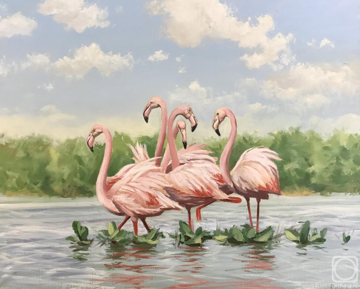Roslik Evgeniya. Flamingo
