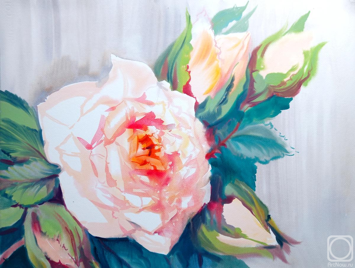 �������. ���������� ���������. ������� �����