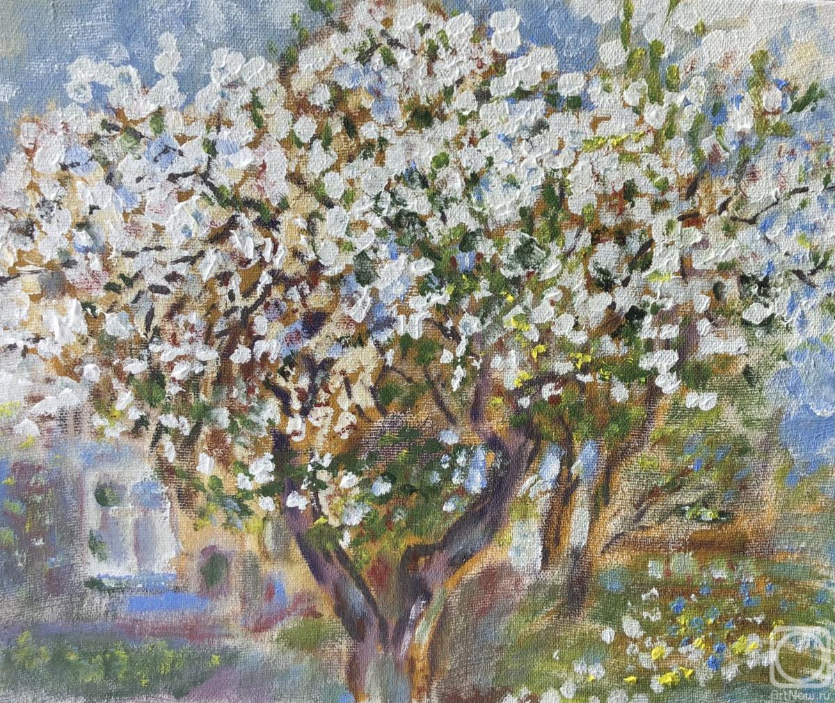 ������� ������ �� ������. ����� ������. ������ �����