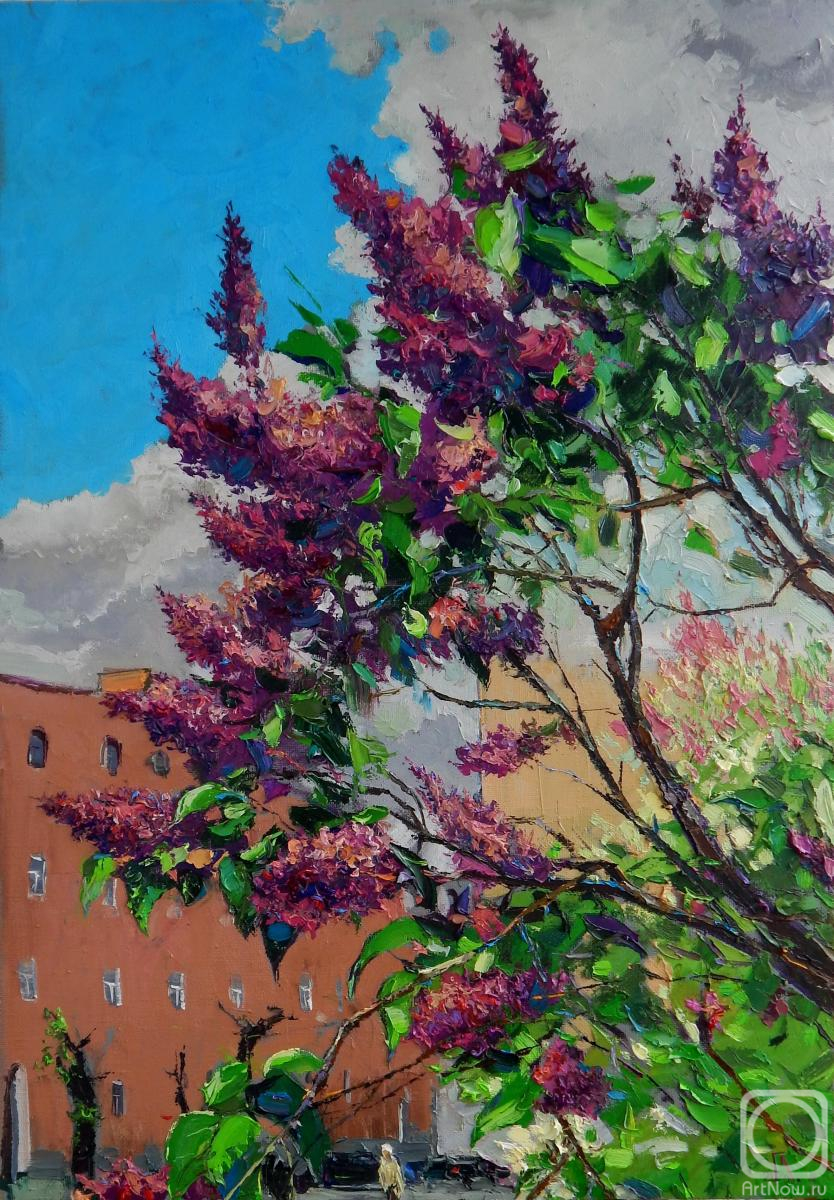 ������� ������ �� ������. ���������� �������. ���