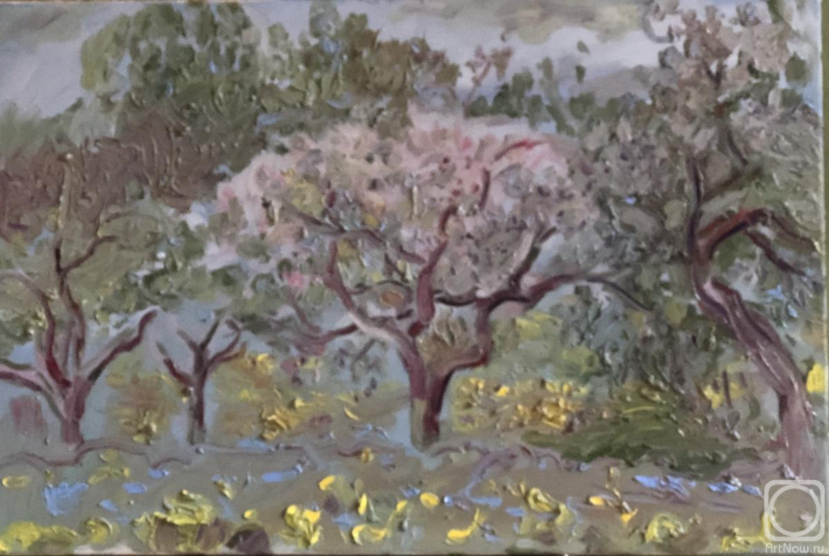 ������� ������ �� ������. ����� ������. ������ ������ � ����������� ����