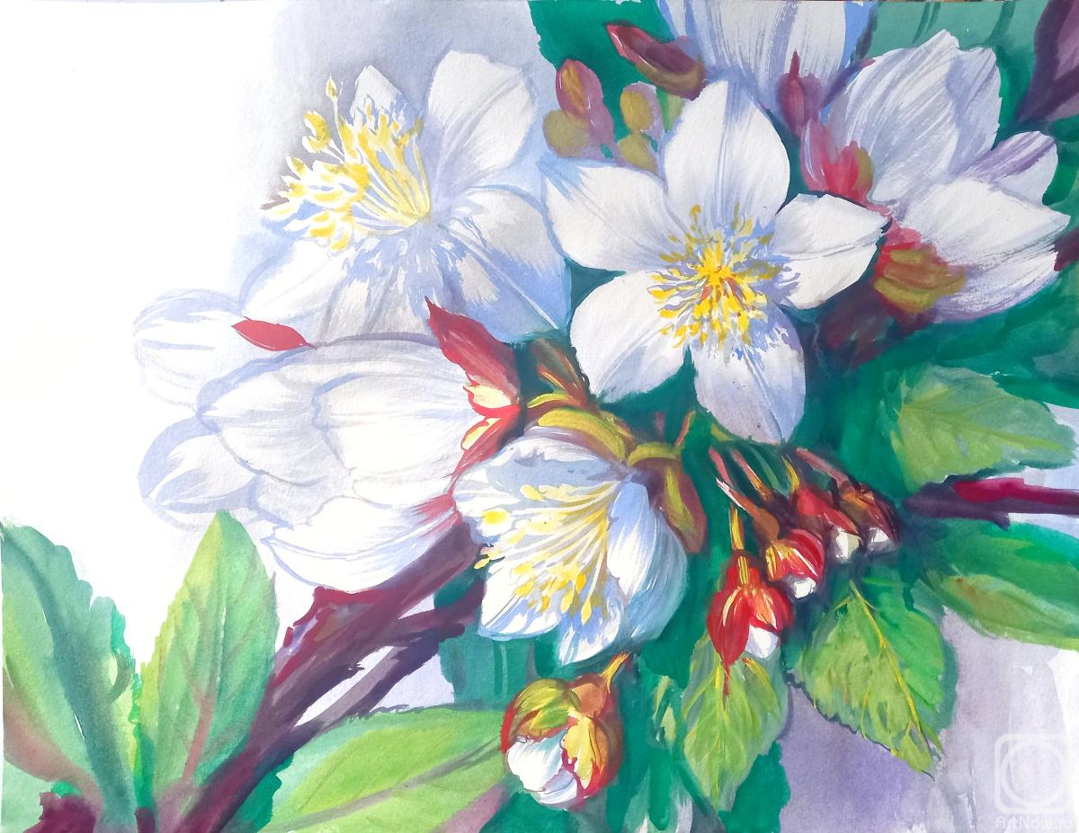 �������. ���������� ���������. ����� ������