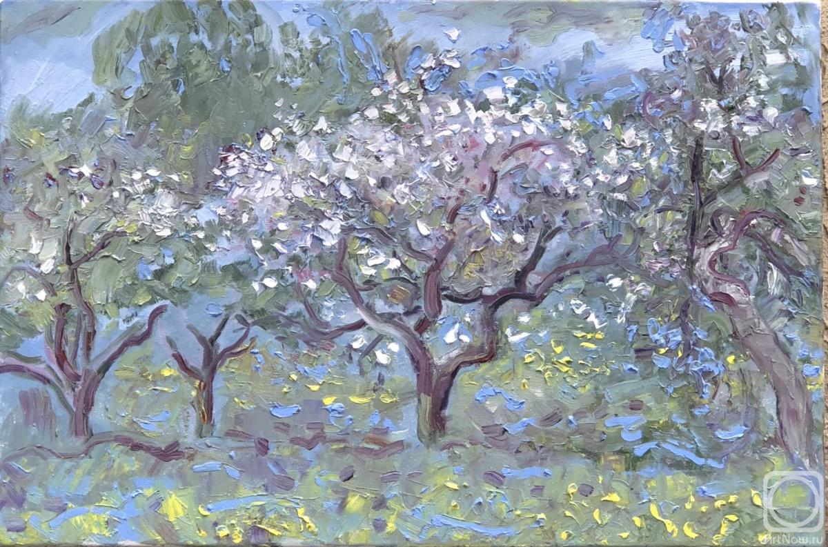 ������� ������ �� ������. ����� ������. ������ ������