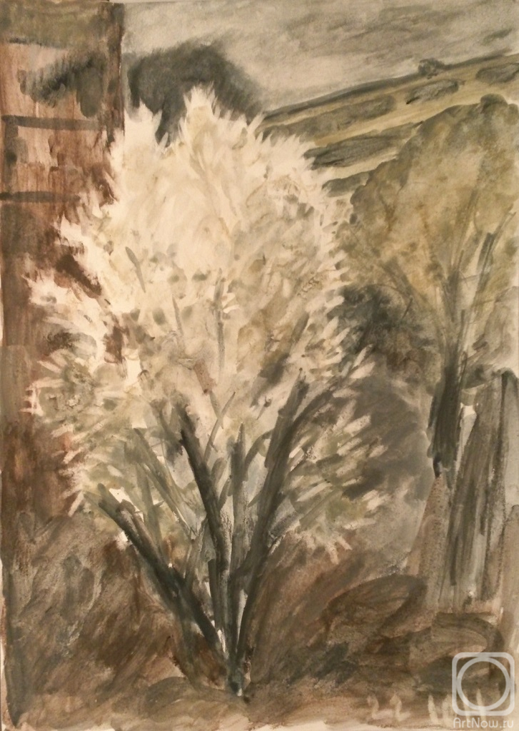 �������. ������ ����. ��������