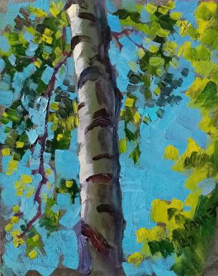 ������� �������, 22 ����