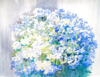 ������� ��������� ���������