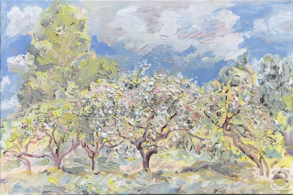 ������� ������ �� ������. ����� ������. ���, ������, �������� ������