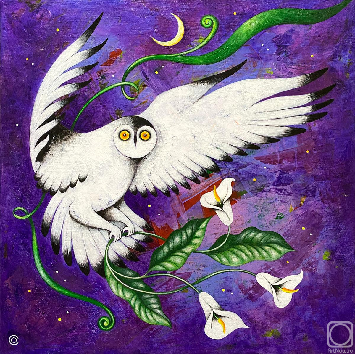 �������. ��������� �����. ��� ����