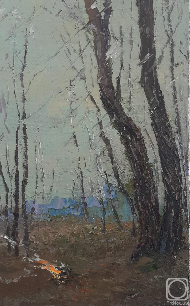 ������� ������ �� ������. ���������� �������. �������