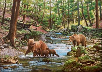    (Bear Cubs).  