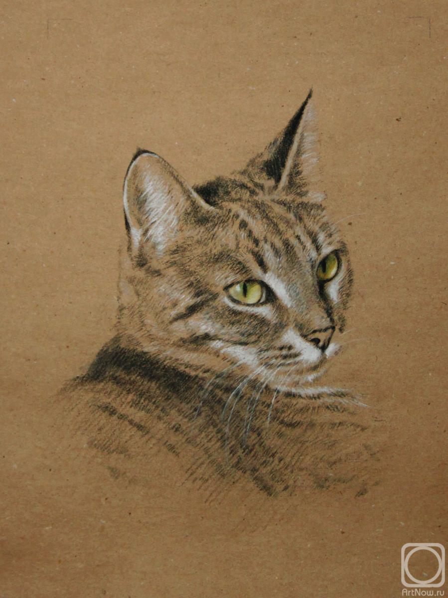 Shirokova Svetlana. Portrait of a cat