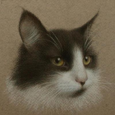 Portrait of a cat. Shirokova Svetlana