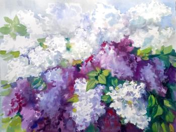 ������� ��������